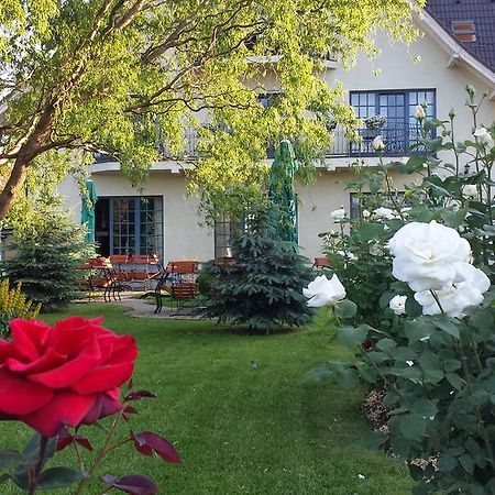 Villa Westfalia Guest House Tîrgu Secuiesc Extérieur photo