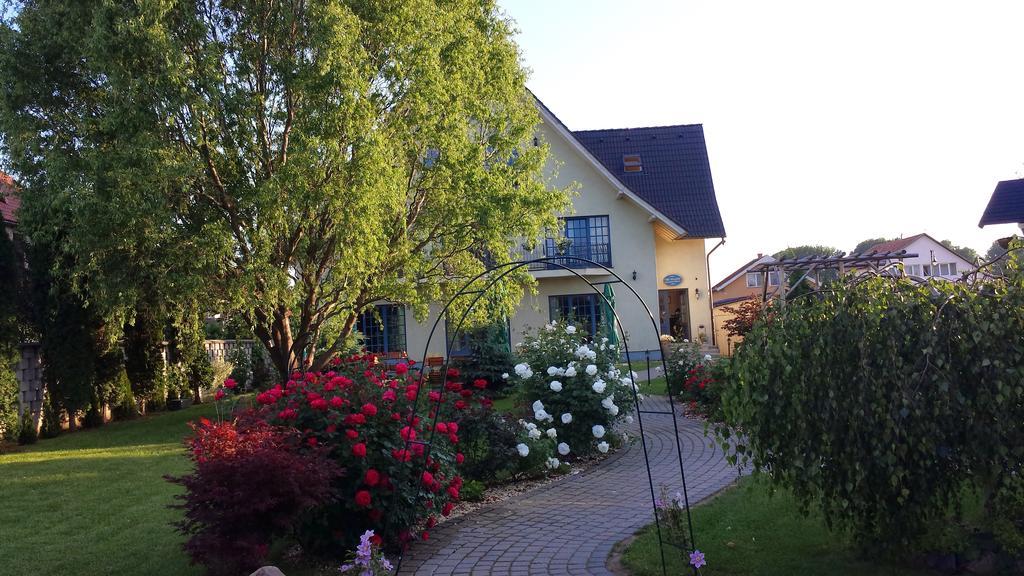 Villa Westfalia Guest House Tîrgu Secuiesc Extérieur photo